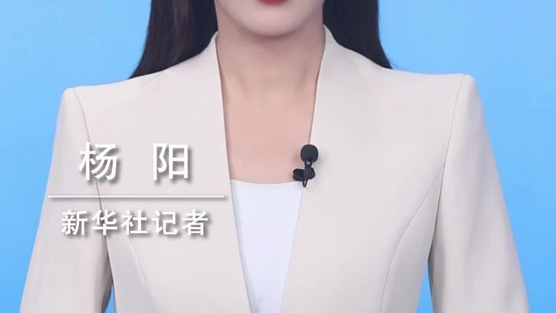 企业级搜索系统故障排查：关键步骤与策略**